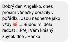 recenze zákaznice