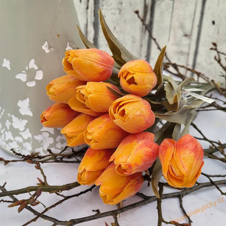 Tulipán plast, tm. list - oranžovookrový