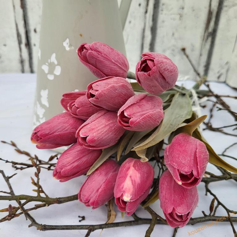 Tulipán plast, tm. list - vínový