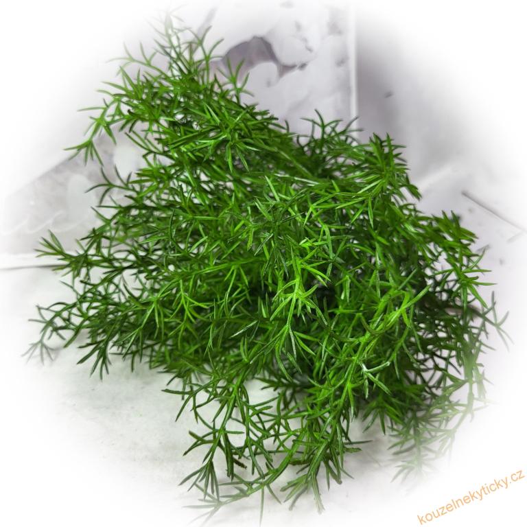 Umělá zeleň - asparagus