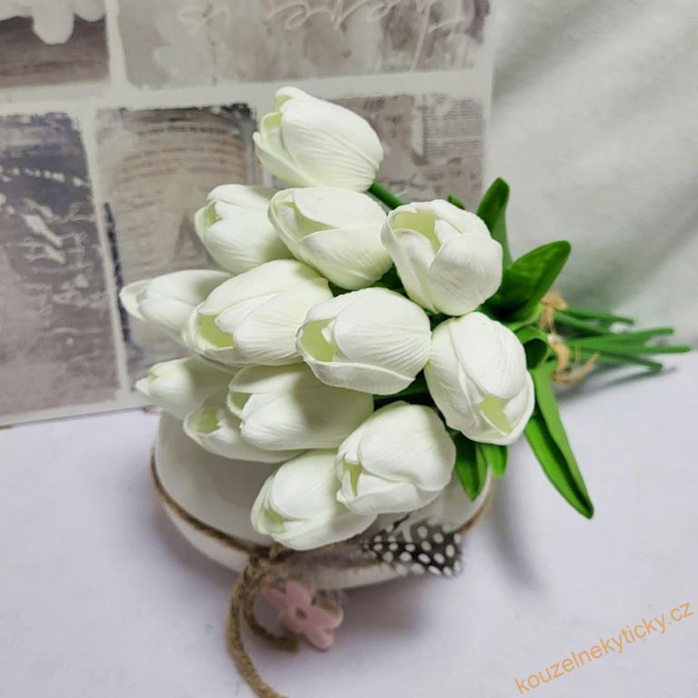 Tulipán pěnový - bílý