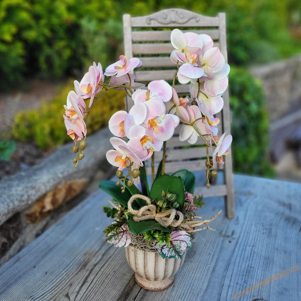 Orchidej barevná - Světle růžová