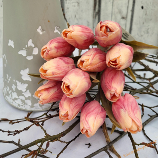 Tulipán plast, tm. list - růžovokrémový