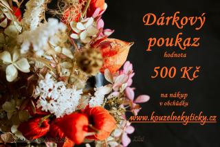 Dárkový poukaz 500Kč