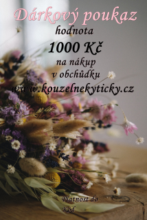 Dárkový poukaz 1000Kč